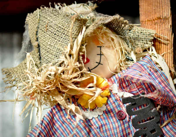 Scarecrow — Stock Photo, Image
