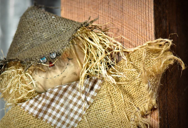 stock image Scarecrow