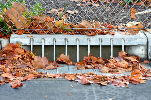 Πεζοδρόμιο καταιγίδα drain υδρορροών — Φωτογραφία Αρχείου