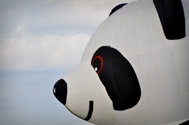 ayı Panda sıcak hava balonu