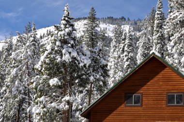 ağaçlar ve dağın içinde geçmiş kış cabin kar ile kaplı