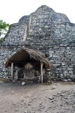 coba Meksika Maya harabelerini