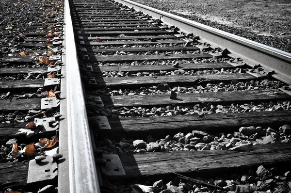 Järnvägsspåren i höst — Stockfoto