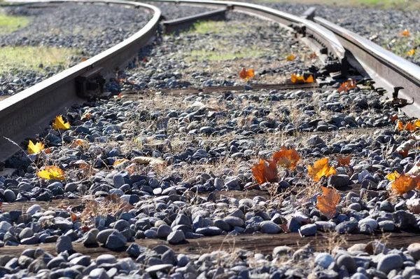 Tory kolejowe w jesieni — Zdjęcie stockowe