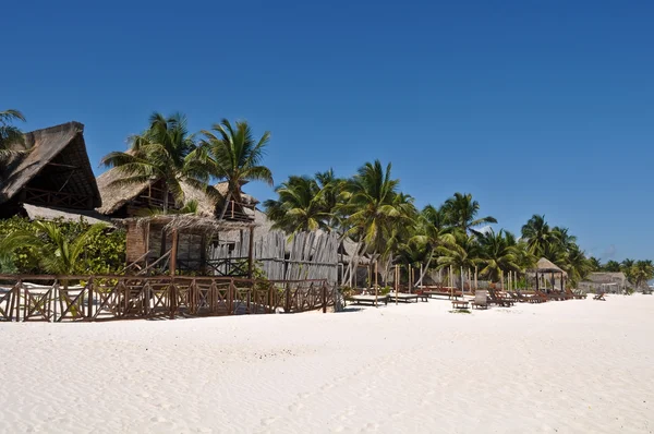 Beach resort met palmbomen en hutten — Stockfoto
