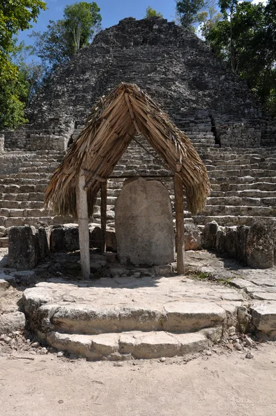 Coba Maya harabelerini cancun Meksika yakınlarında — Stok fotoğraf
