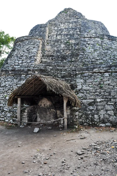 Coba Meksika Maya harabelerini — Stok fotoğraf