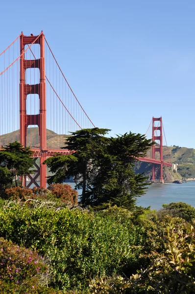 stock image Golden Gate Bridge San Francisco California