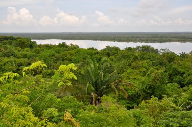 Rain Forest and Lagoon View in Costa Rica clipart