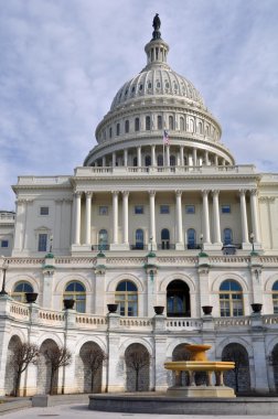 Washington DC Capitol Tepesi