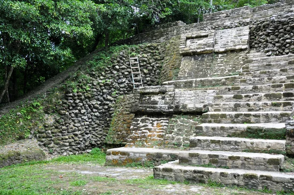 Templo de ruinas mayas — Foto de Stock