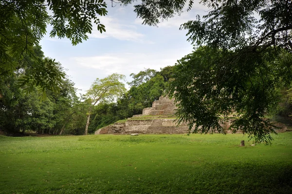 Templul Maya — Fotografie, imagine de stoc
