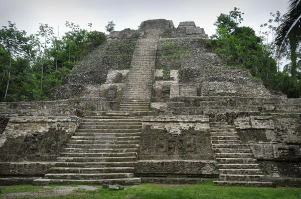Maya tempel — Stockfoto