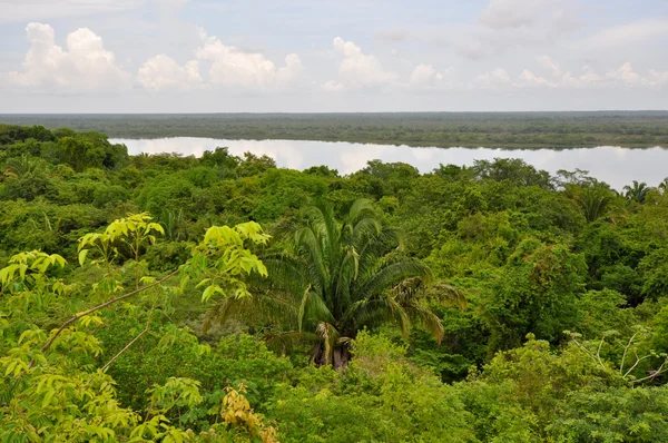 Regnskog och utsikt över lagunen i costa rica — Stockfoto