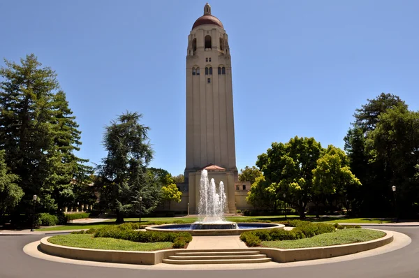 Stanford Üniversitesi — Stok fotoğraf