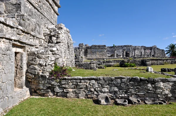 Tulum México Ruina Costera Maya —  Fotos de Stock