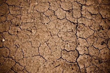 Dried Cracked Dirt or Mud clipart