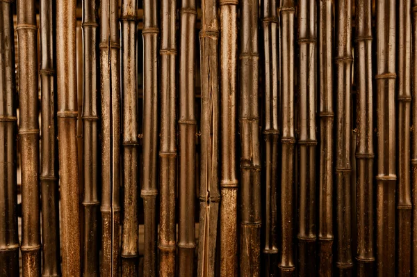 Fundo escuro de bambu — Fotografia de Stock
