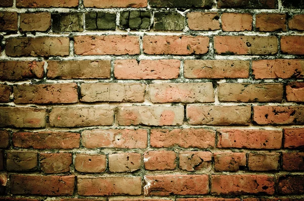 Grunge Brick Wall Background — Stock Photo, Image