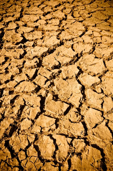 Cracked Mud Arid Ground — Stock Photo, Image