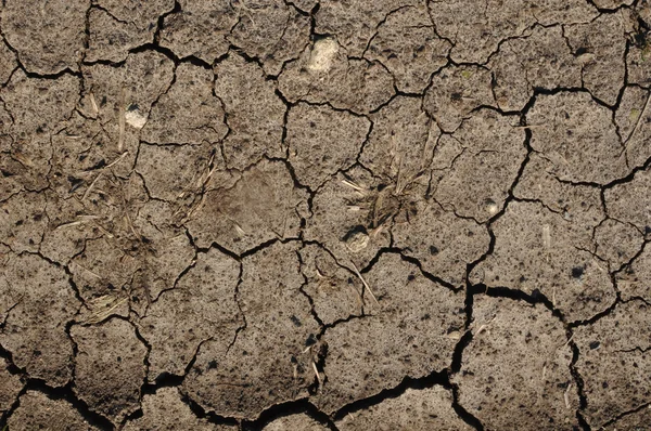 Cracked Mud or Dirt used as a Background — Stock Photo, Image