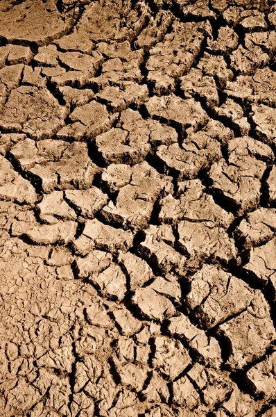 Cracked Ground Dirt — Stock Photo, Image