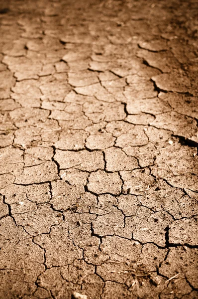 Dried Cracked Dirt or Mud — Stock Photo, Image