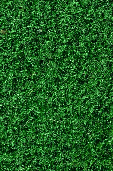 스포츠 분야에 사용 하는 가짜 잔디 — 스톡 사진