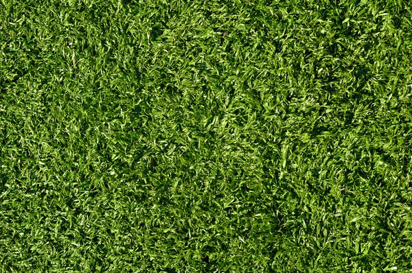 Фальшива трава, що використовується для спорту на відкритому повітрі — стокове фото