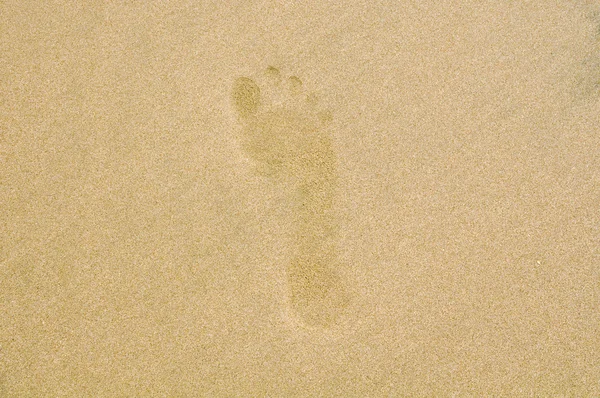 stock image Footprint