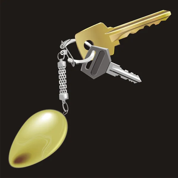 Lot de clés — Image vectorielle