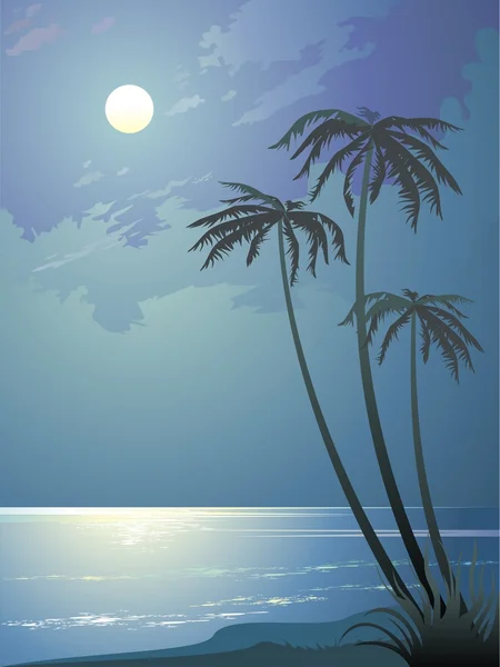 stock vector Tropical night