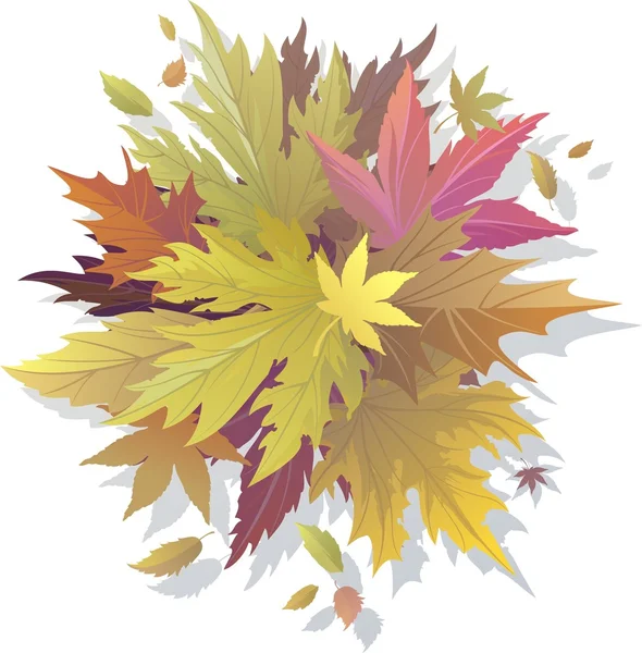 Bouquet d'autunno — Vettoriale Stock