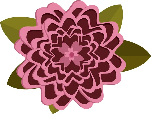 Flor de crisantemo rosa sobre fondo blanco . — Archivo Imágenes Vectoriales