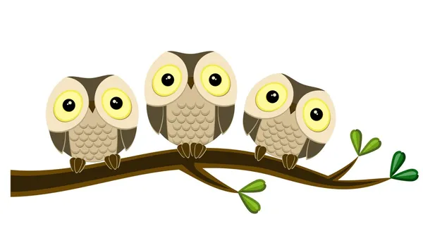 Owls sitting on a tree — Stock Vector