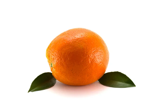 熟したオレンジ色の白い背景の上の葉 — ストック写真