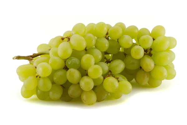 stock image Fresh cluster of grape