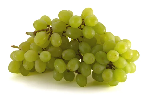 Fresh ripe bunch of grape — Stock Photo, Image