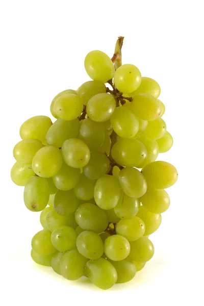 Stock image Fresh bunch of ripe green grape isolated