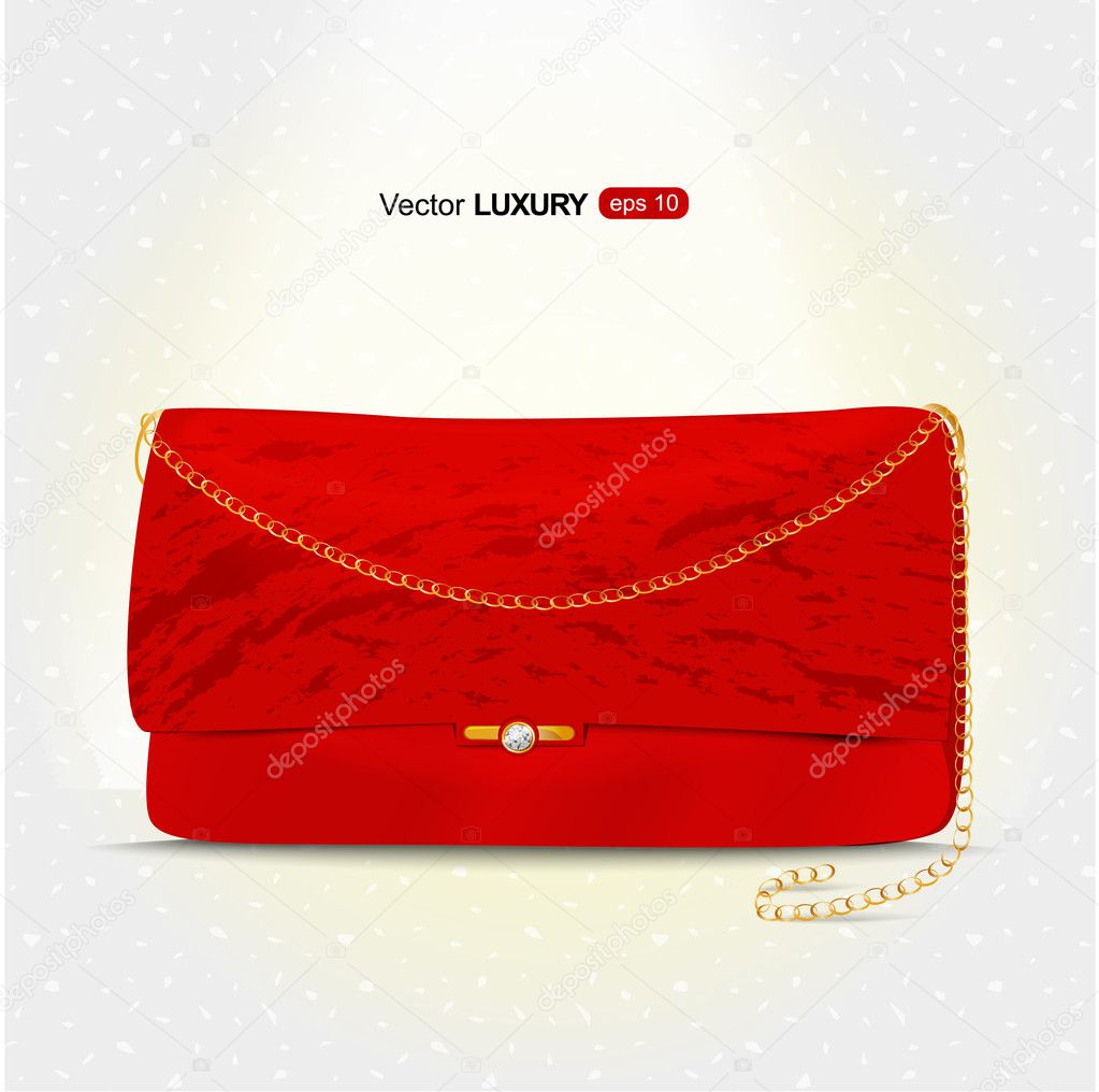 Luxury woman's handbag, vector