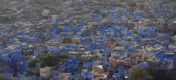 Azul ciudad jodhpur — Foto de Stock