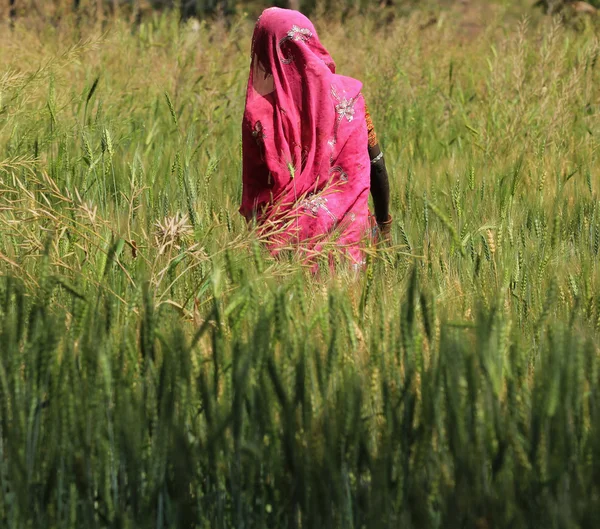 Woman Farming — Stock Photo, Image