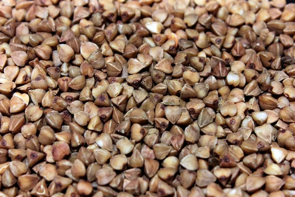 Grañones de trigo sarraceno — Foto de Stock