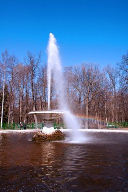 Şehir Parkı'peterhof Parkı iyi çeşmeler