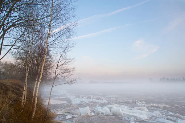 stock image Fog on sping river