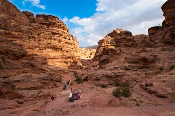 Garganta de montaña de Jordania —  Fotos de Stock