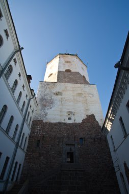 Devlet Müzesi vyborg castle