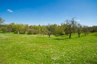 Garden near the house clipart