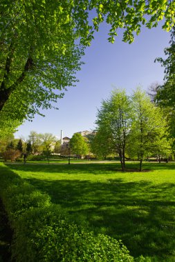 büyük parkta iyi: riga