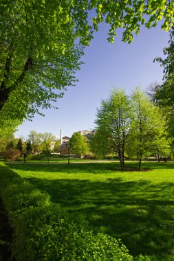 Fine big park in Riga clipart